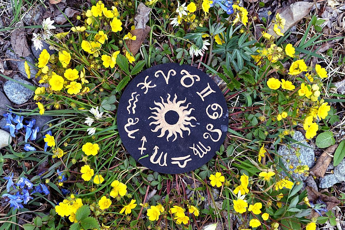 Daily Illustration